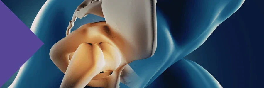 Collagen for Joints