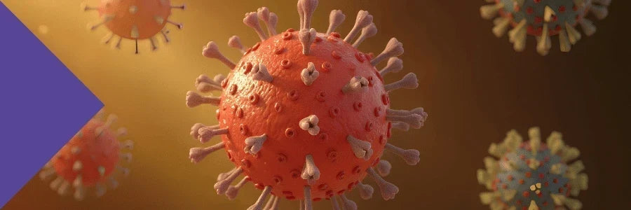 How to Support Your Immune System Naturally