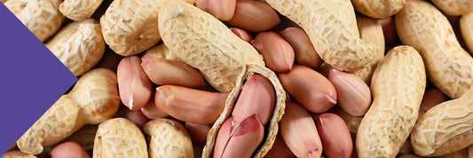 Recipe High Protein Peanut Butter Bars.webp