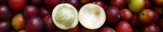 benefits of camu camu