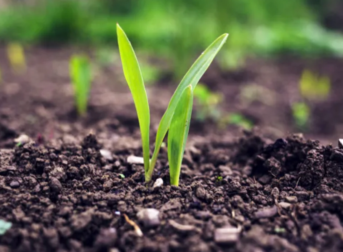 benefits of fulvic acid