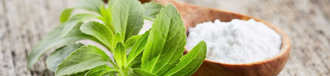 benefits of stevia powder