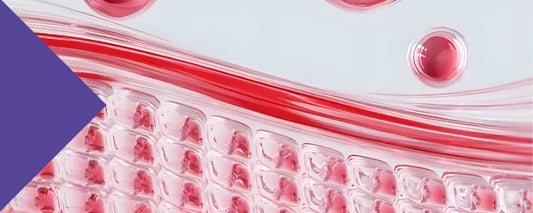 collagen beauty boost science