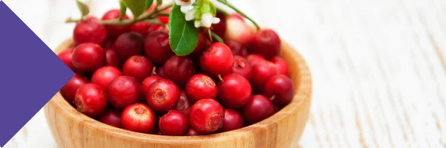 cranberry d-mannose for uti