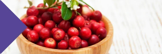 cranberry d-mannose for uti
