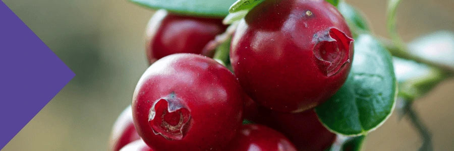 D-Mannose Benefits