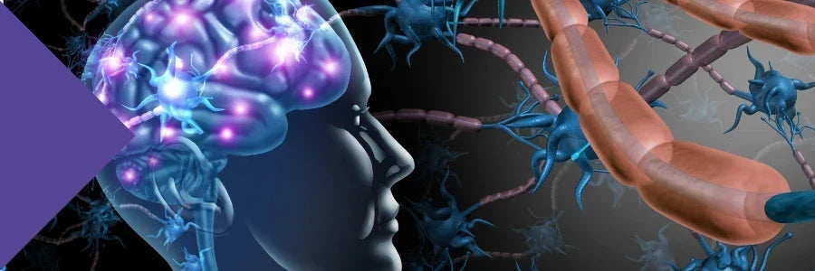 Can Your Gut Microbiome Change Your Brain?