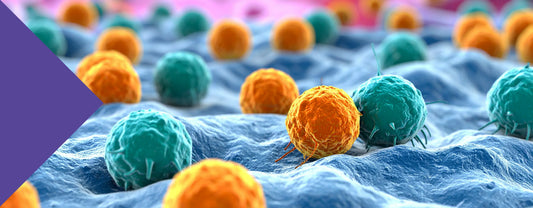 gut health immunity