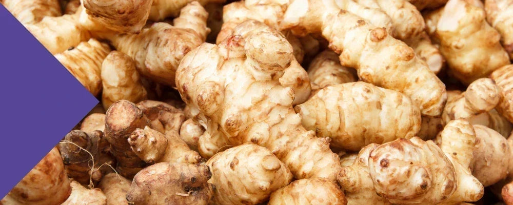 inulin research