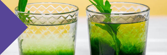 Liquid chlorophyll benefits