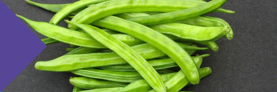 PHGG for IBS: Can This Prebiotic Fibre Help?