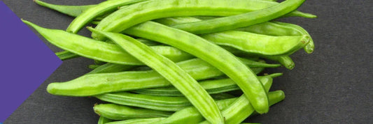 PHGG for IBS: Can This Prebiotic Fibre Help?