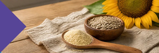 Sunflower lecithin vs soy lecithin