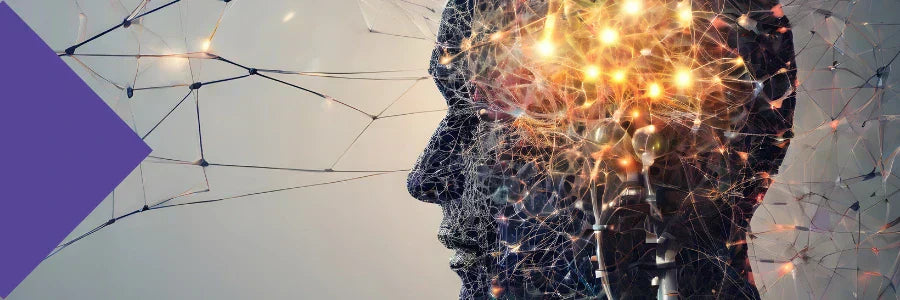 supplements for cognitive function
