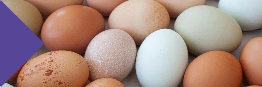 what is choline