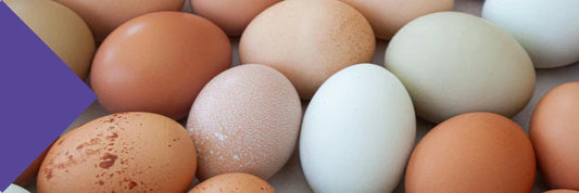 what is choline