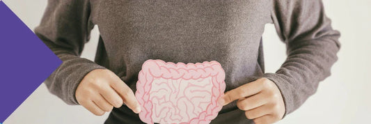 What is Gut Health Plus?