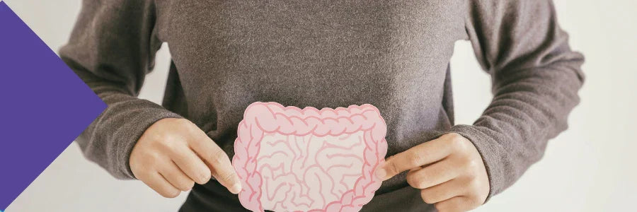 What is Gut Health Plus?