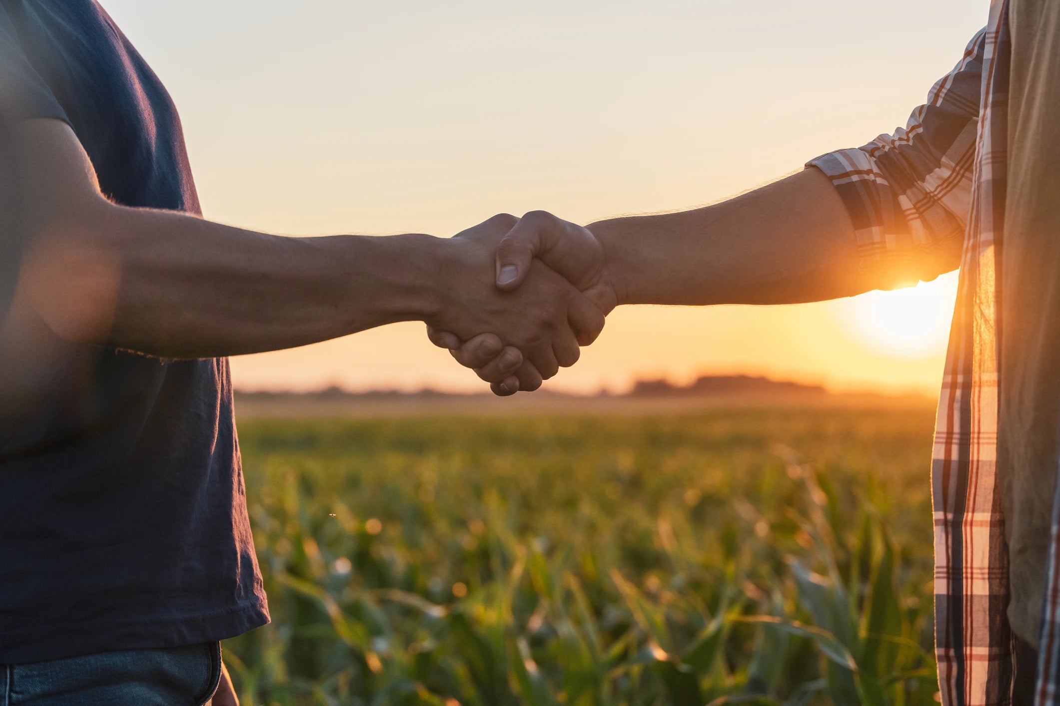 Hand Shake at sunset with a farm background